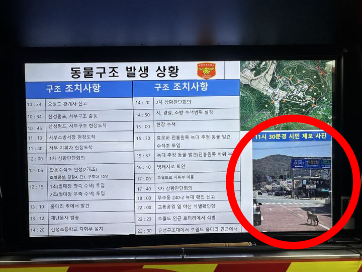 대전 소방당국의 오월드 늑대 탈출 브리핑용 상황판 사진이 가짜 논란에 휘말렸다