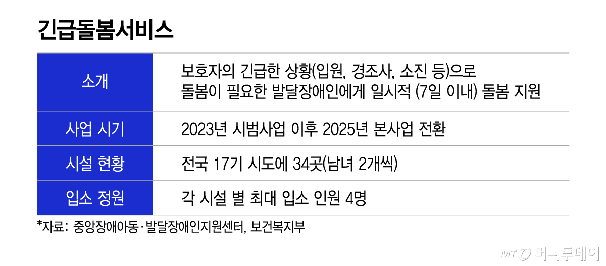 긴급돌봄서비스/그래픽=이지혜 디자인기자.