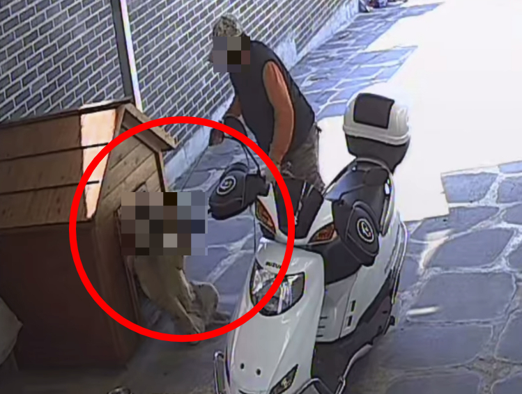 개장수가 남의 집에 무단침입해 반려견을 강제로 끌고 간 사건이 발생했다. 끌려간 반려견은 도살된 것으로 알려졌지만, 개장수 측은 아직 사체를 안 돌려주고 있는 것으로 알려졌다. /사진=인스타그램 캡처