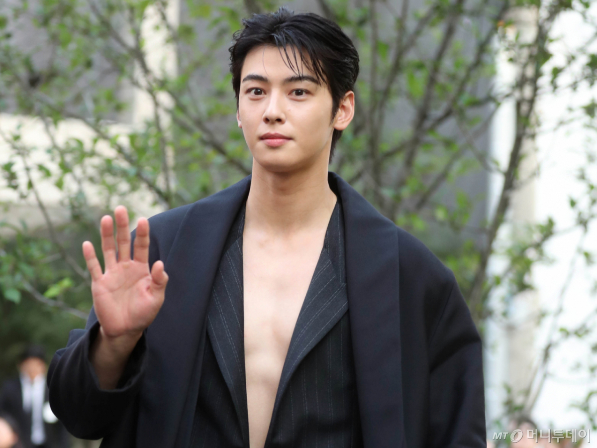 가수 겸 배우 차은우 /사진=머니투데이 사진 DB