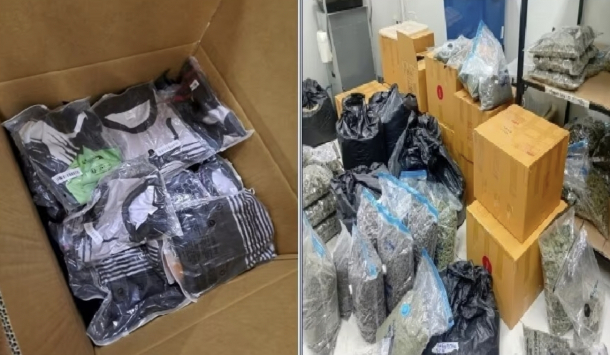 박스에 포장된 대마를 넣고 그 위에 의류를 덮어 은닉한 모습/사진=마약합수본 제공