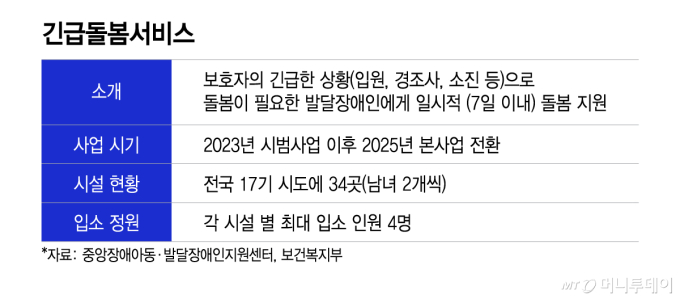 긴급돌봄서비스/그래픽=이지혜 디자인기자.