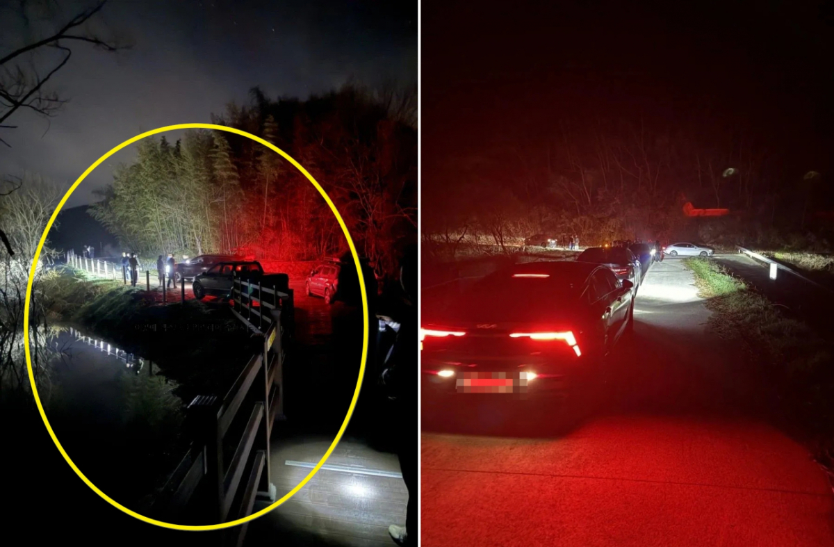 충청남도 예산 살목지 새벽 풍경 /사진=온라인 커뮤니티 갈무리