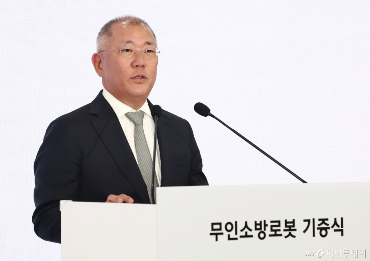 정의선 현대자동차그룹 회장 /사진=뉴스1