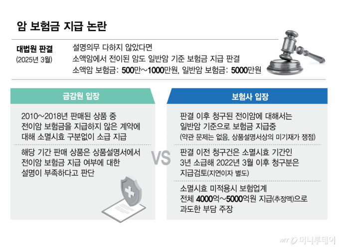 암 보험금 지급 논란/그래픽=김현정