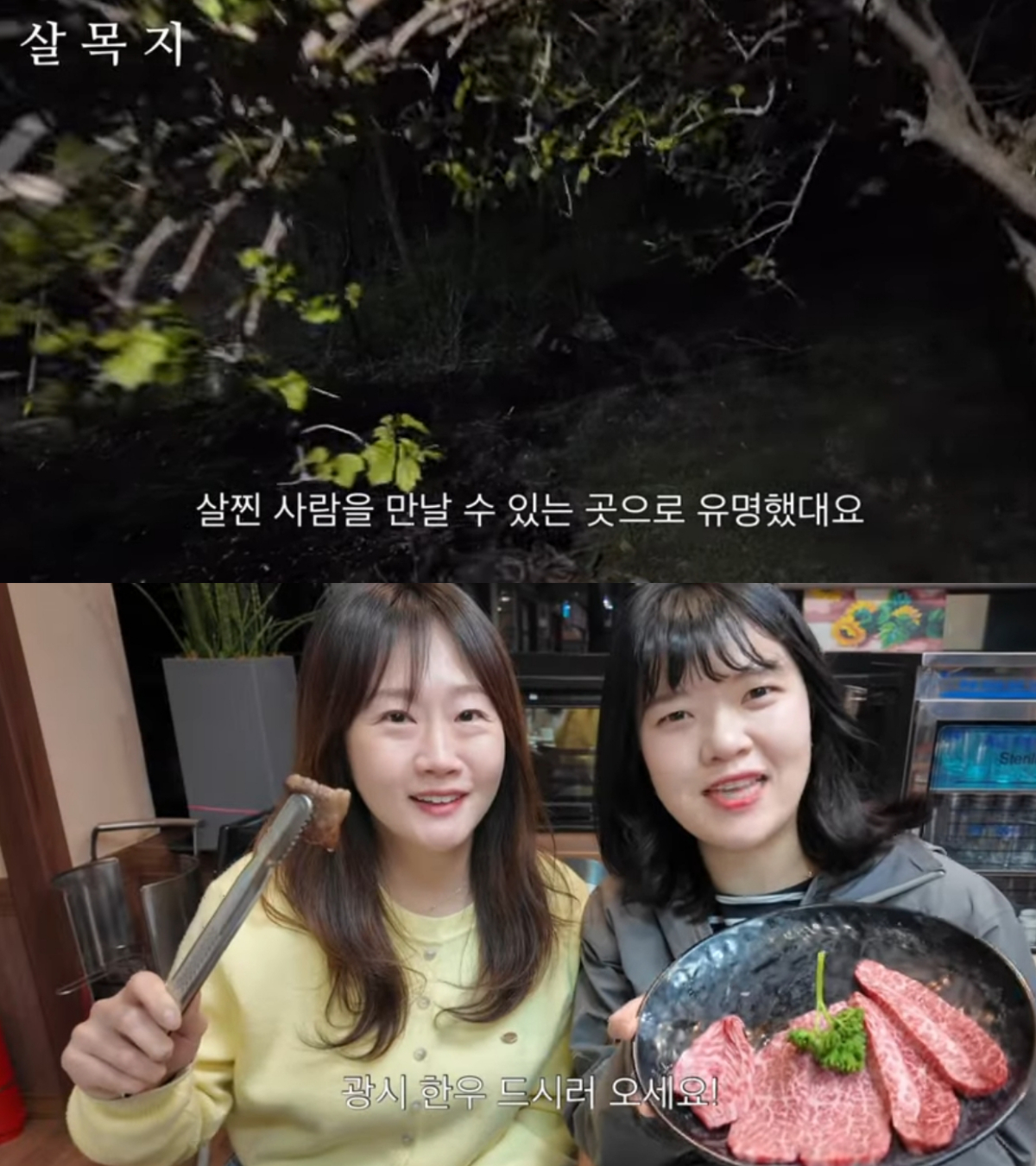 /사진=유튜브 채널 '예산군' 캡처