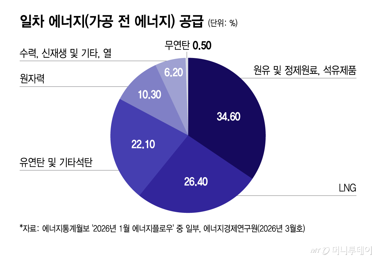 일차 에너지(가공 전 에너지) 공급/그래픽=이지혜