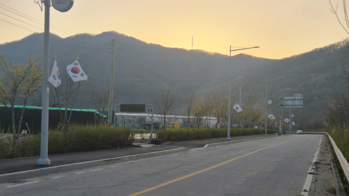 도로를 따라 게양된 태극기 대부분이 찢어지거나 헤진 상태다./사진=현대곤 기자