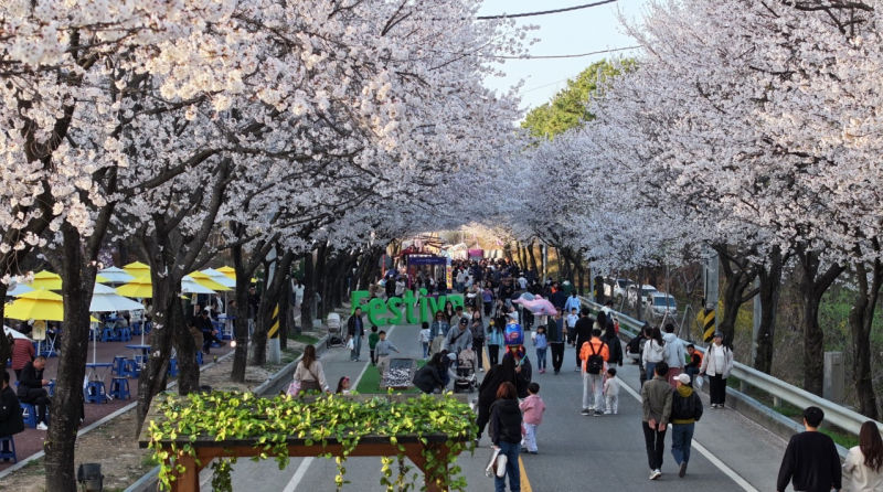 제10회 여주흥천남한강벚꽃축제 모습./사진제공=여주흥천남한강벚꽃축제위원회