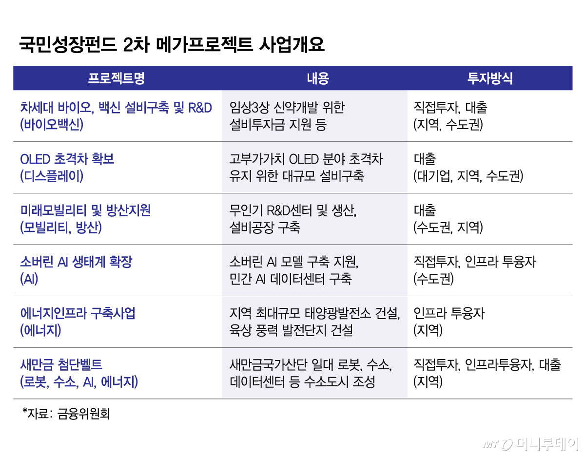 국민성장펀드 2차 메가프로젝트 사업개요/그래픽=김현정