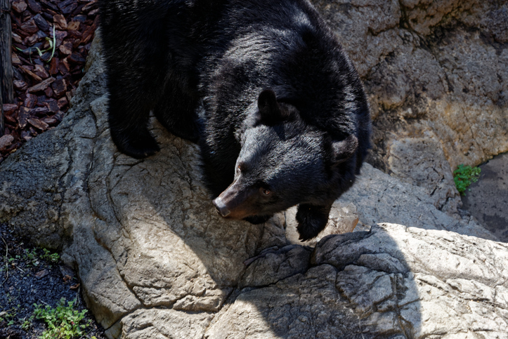 기사 내용과 무관한 참고 이미지 /사진=게티이미지뱅크