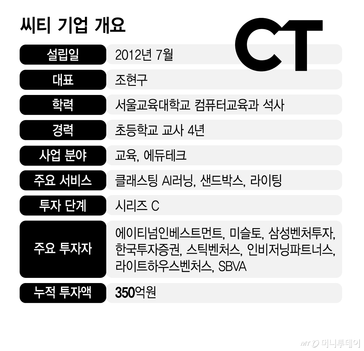 씨티 기업 개요/그래픽=김지영