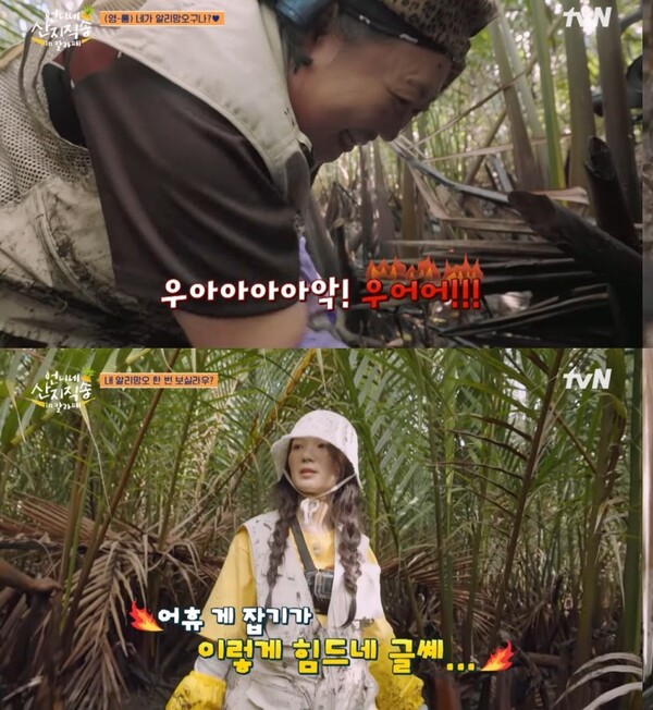 사진=방송 영상 캡처