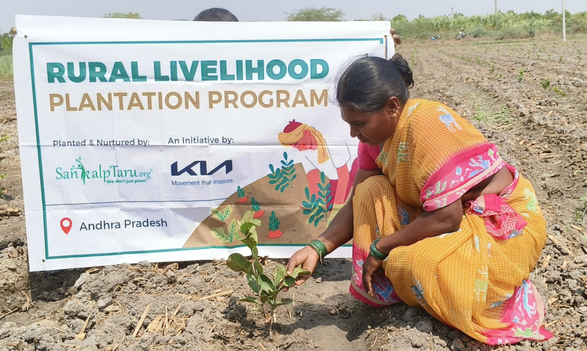 기아가 인도에서 실시한 '우파르 캠페인'에 참가한 현지 여성이 황무지에 묘목을 심고 있다./사진=현대자동차그룹