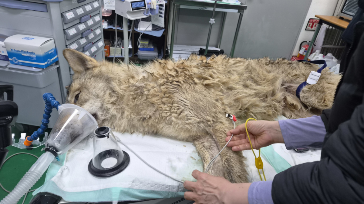 사진=대전시 제공