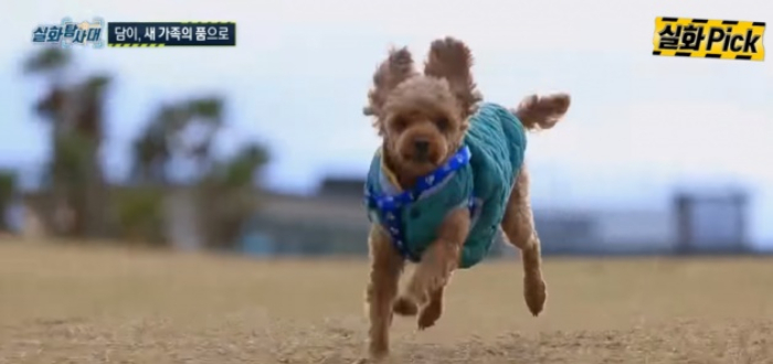 /사진=MBC '실화탐사대' 