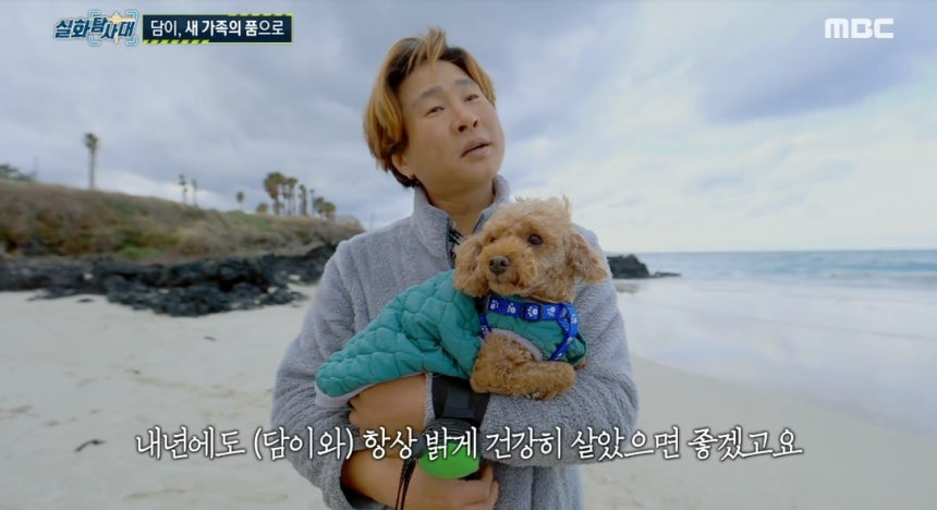 당시 땅에 묻혔던 푸들의 현재 모습. /사진=MBC '실화탐사대' 