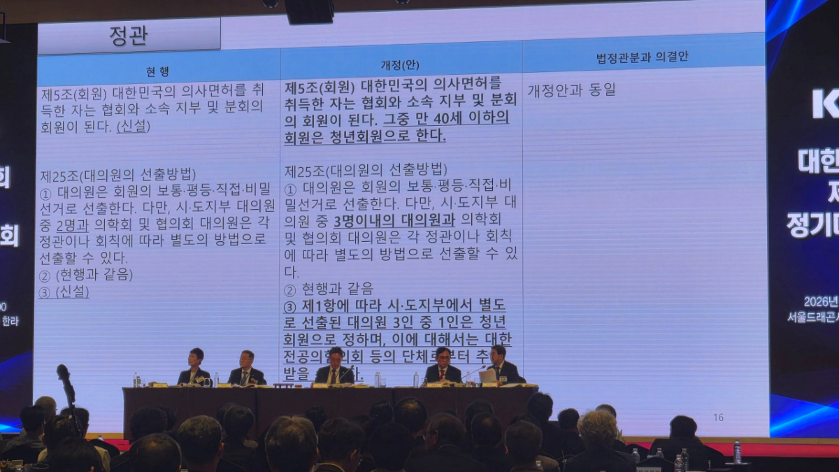 이날 총회에서 대의원들은 만 40세 이하 회원을  청년회원으로 분류하고, 대의원의 청년 의사의 비율을 높이기로 가결했다. /사진=대한의사협회