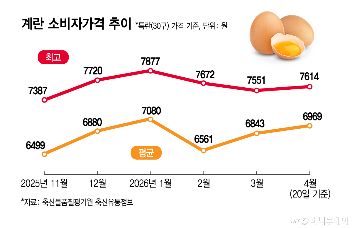 계란 소비자가격 추이/그래픽=김지영
