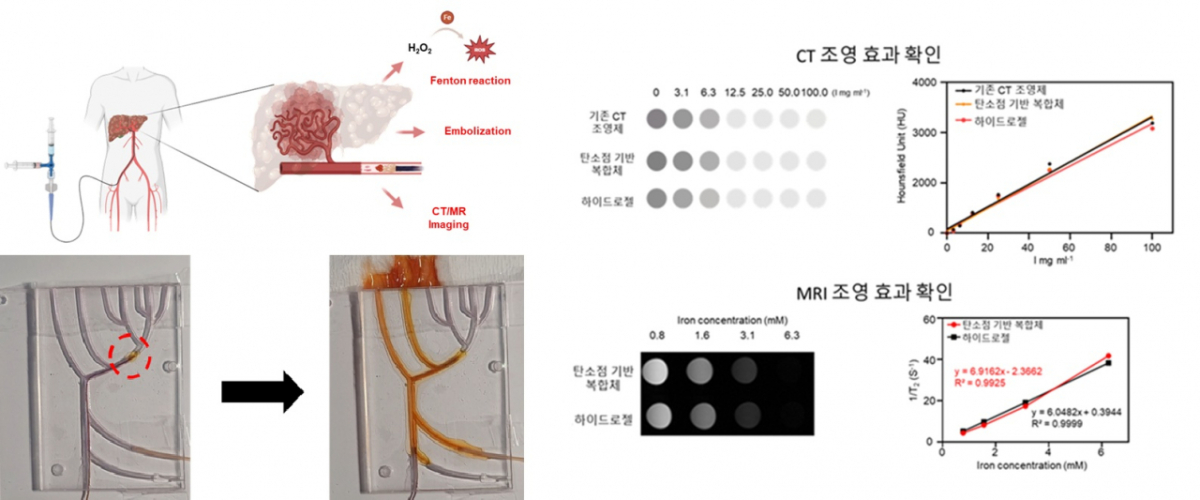 나건 바이오메디컬화학공학과 교수팀의 연구자료 이미지./사진제공=가톨릭대