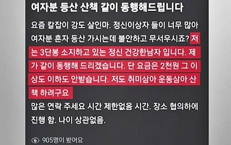  혼자 등산하는 여성들을 상대로 한 '동행 알바' 구직글./사진=SNS