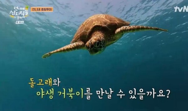 사진=방송 영상 캡처