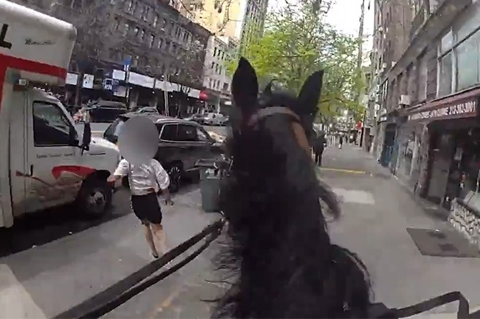 미국 뉴욕 맨해튼에서 말을 탄 경찰이 지갑 절도 후 도망치던 소매치기를 추격해 체포했다./사진=미국 뉴욕경찰(NYPD) X(엑스·옛 트위터)