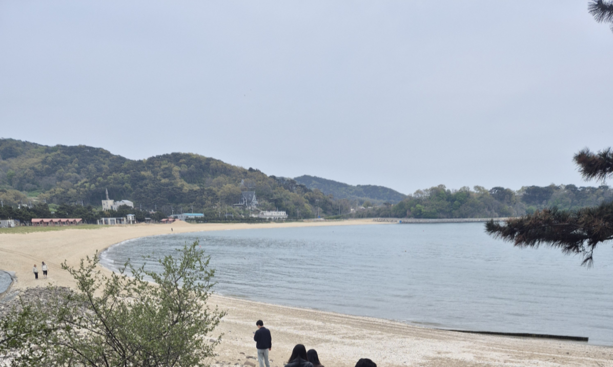 인적이 드문 자월도 풍경./사진=김소연 기자