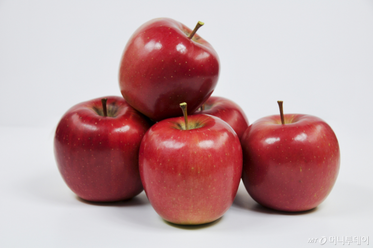 국산 사과품종 '컬러플' /사진=농촌진흥청