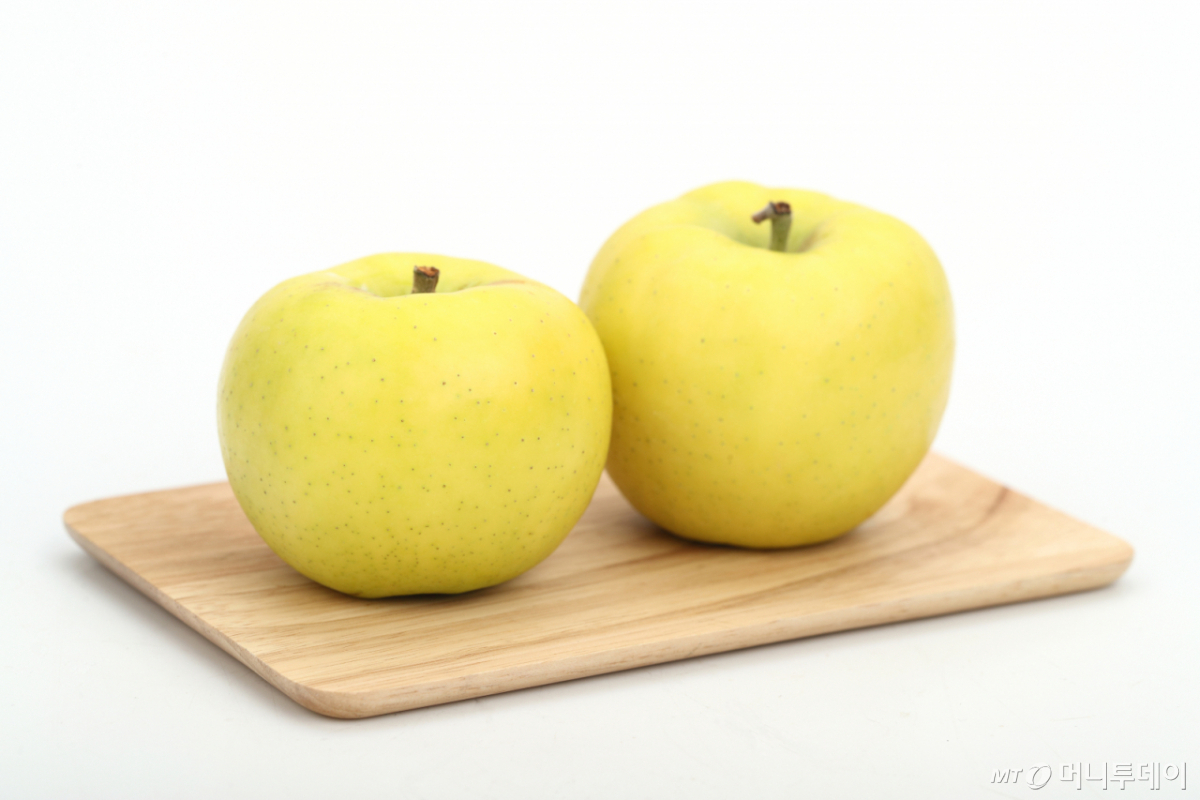 국산 사과품종 '골든볼' /사진=농촌진흥청