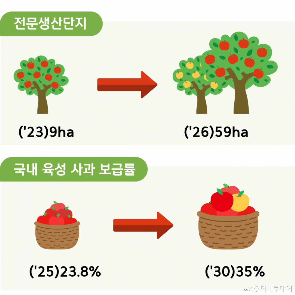 전문생산단지 확대 및 국내 육성 사과 보급률 목표 /사진=농촌진흥청
