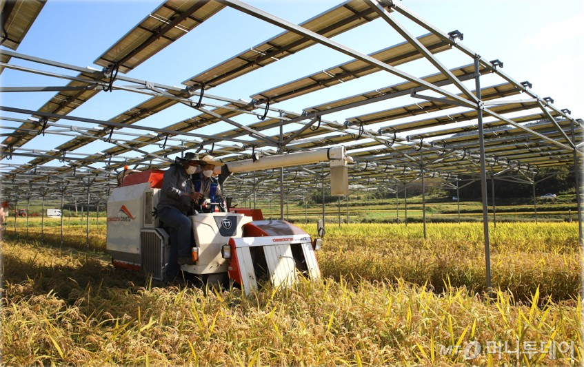 영농형 태양광 설치 현장. /사진=한국영농형태양광협회 제공
