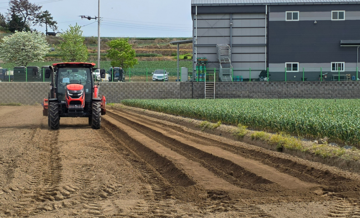 대동의 AI트랙터 'HX1200-AI'가 배토기를 달고 경작지에 두둑(밭이랑·밭고랑)을 만드는 작업을 진행 중인 모습. /사진=이병권 기자