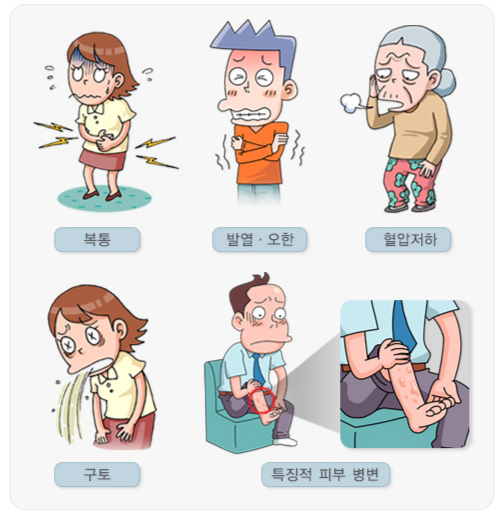 비브리오 패혈증의 증상들. /자료=국가건강정보포털