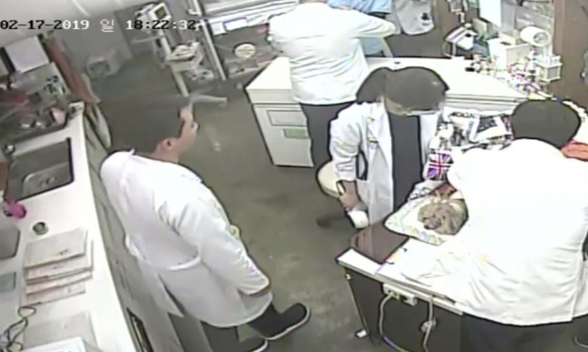 2019년 2월, 북한산에선 멧돼지를 잡기위해 풀어놓은 사냥개가 주민의 반려견을 물어 죽이는 사고가 발생했다. 사고 후 병원으로 옮겨졌으나 반려견은 결국 숨졌다/사진=뉴스1