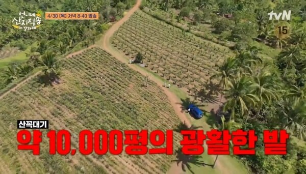 사진=방송 영상 캡처 