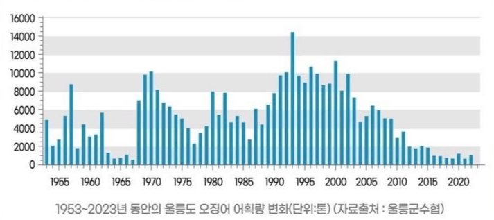 1990년대 초반과 비교했을 때 급감한 오징어 어획량. 오징어 어획량 변화 도표. /사진=울릉도 소상공인연합회 제공