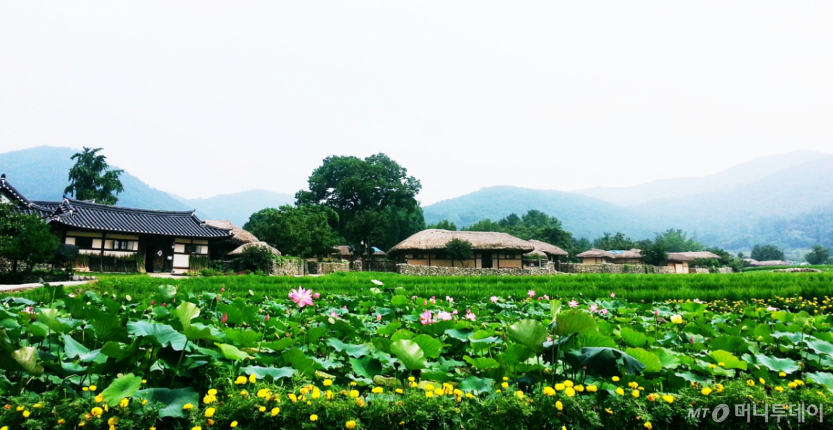 충남 아산 외암마을/사진=농림축산식품부 제공