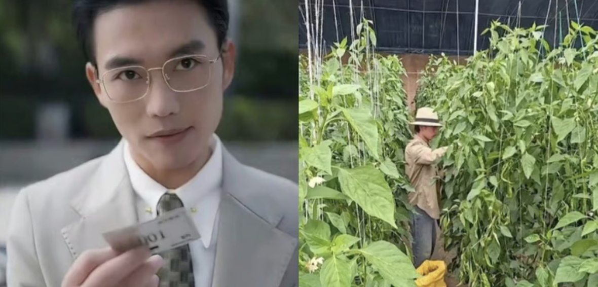 중국에서 재벌 2세 역할로 사랑을 받았던 유명배우가 AI(인공지능) 기술 발전으로 일자리를 잃어 농부로 변신한 사연이 전해졌다. /사진=홍콩사우스차이나모닝포스트(SCMP) 갈무리