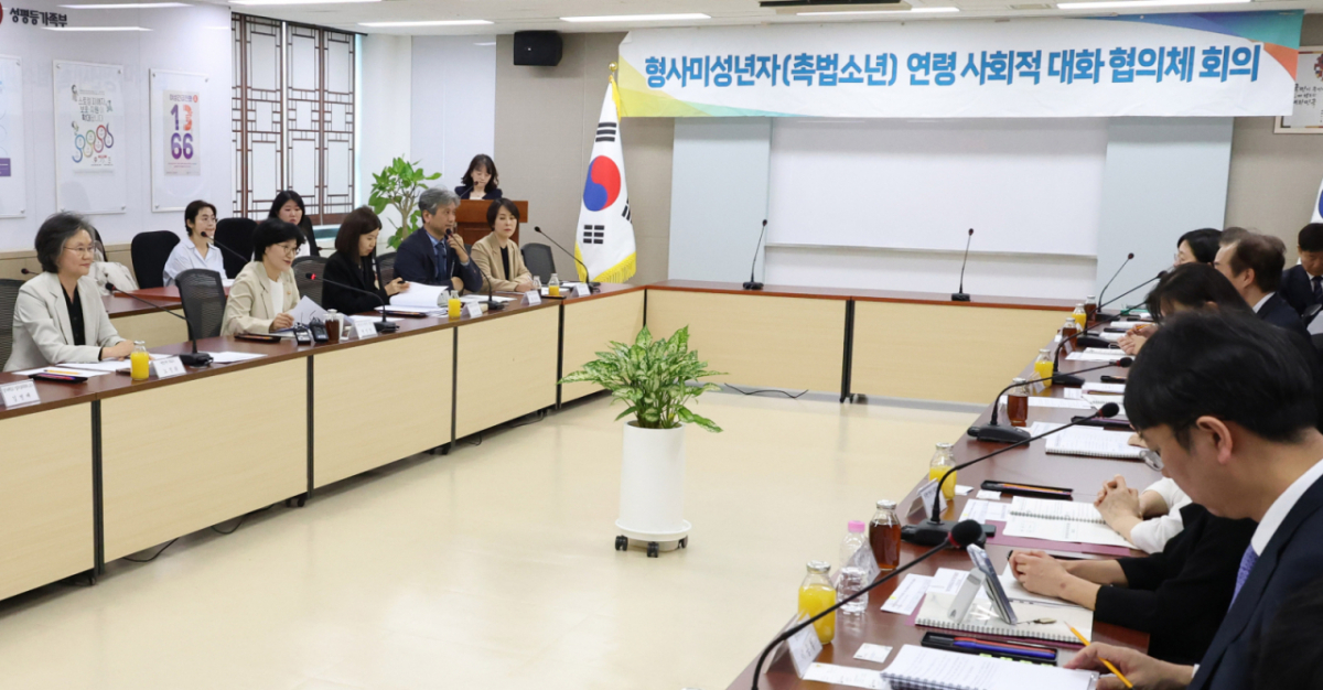 지난달 30일 서울 종로구 정부서울청사에서 열린 형사미성년자(촉법소년) 연령 사회적 대화협의체 4차 전체 회의 모습./사진=뉴시스