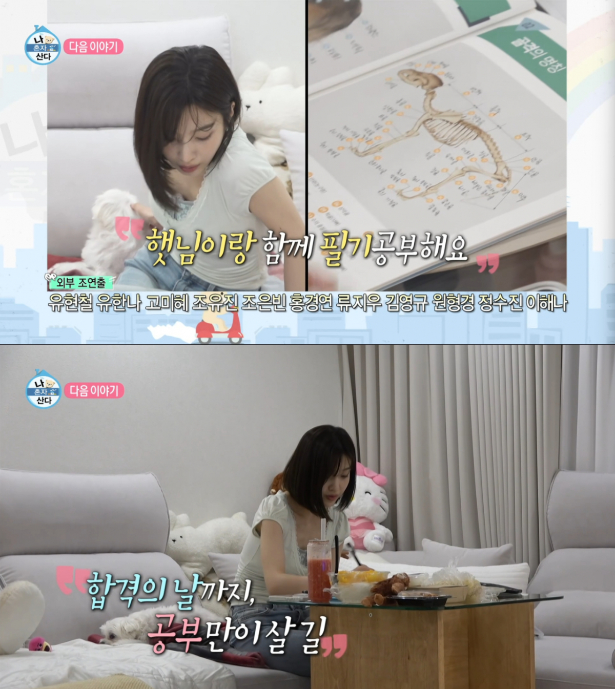 필기 공부를 하는 조이. /사진=MBC '나 혼자 산다' 캡처