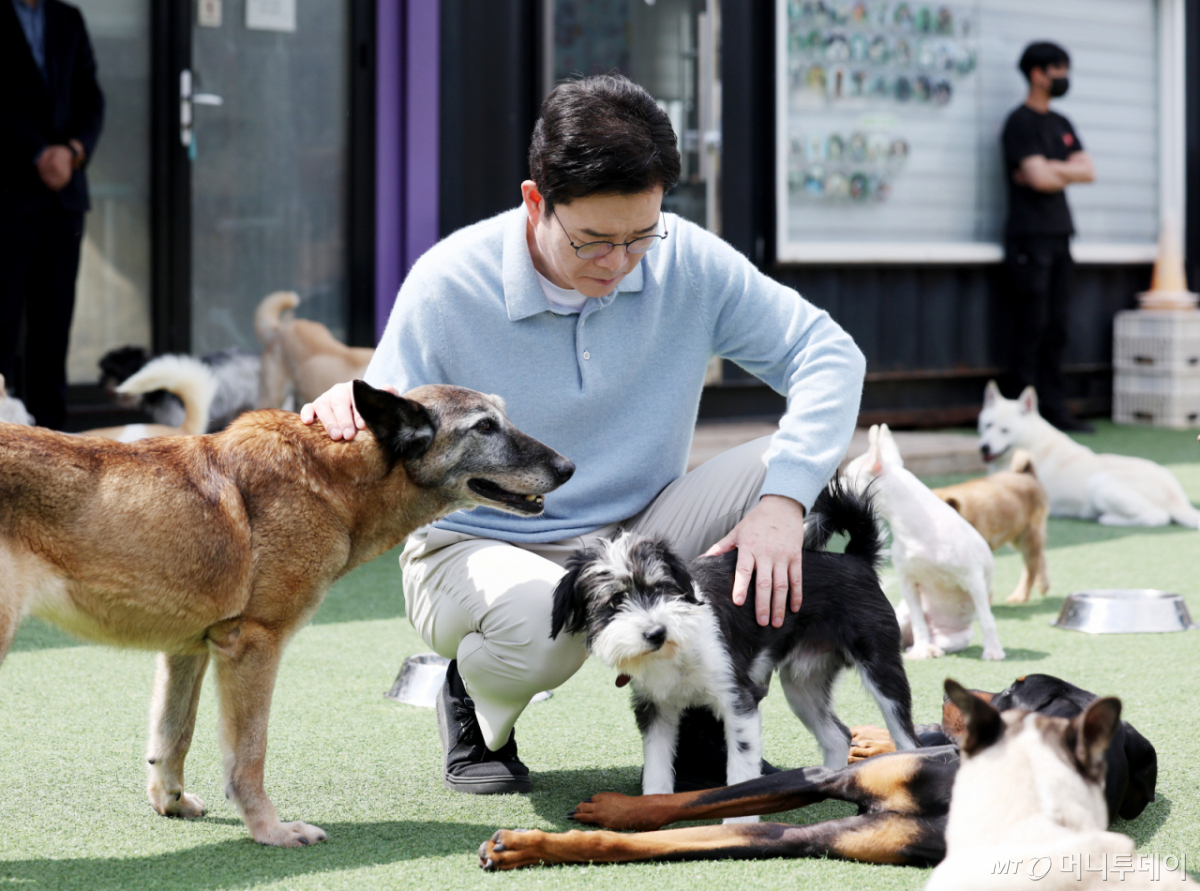 [서울=뉴시스] 김진아 기자 = 정원오 더불어민주당 서울시장 후보가 10일 서울 동대문구 도그어스플래닛에서 진행된 '정원오가 간다-찾아가는 서울人터뷰 반려동물편'에서 김효진 도그어스플래닛 대표와 강아지들의 상태를 살피고 있다. 2026.05.10. bluesoda@newsis.com /사진=김진아