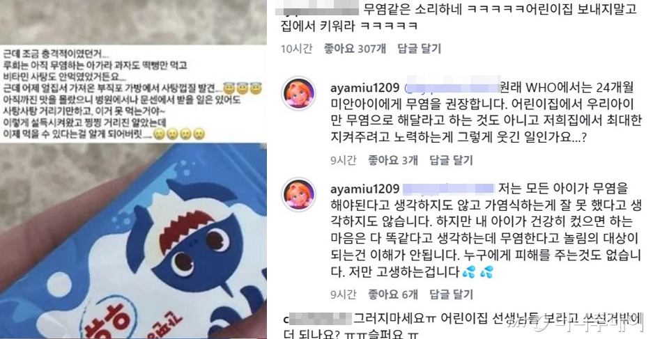 아야네가 올린 인스타그램 스토리와 댓글 /사진=아야네 인스타그램 갈무리