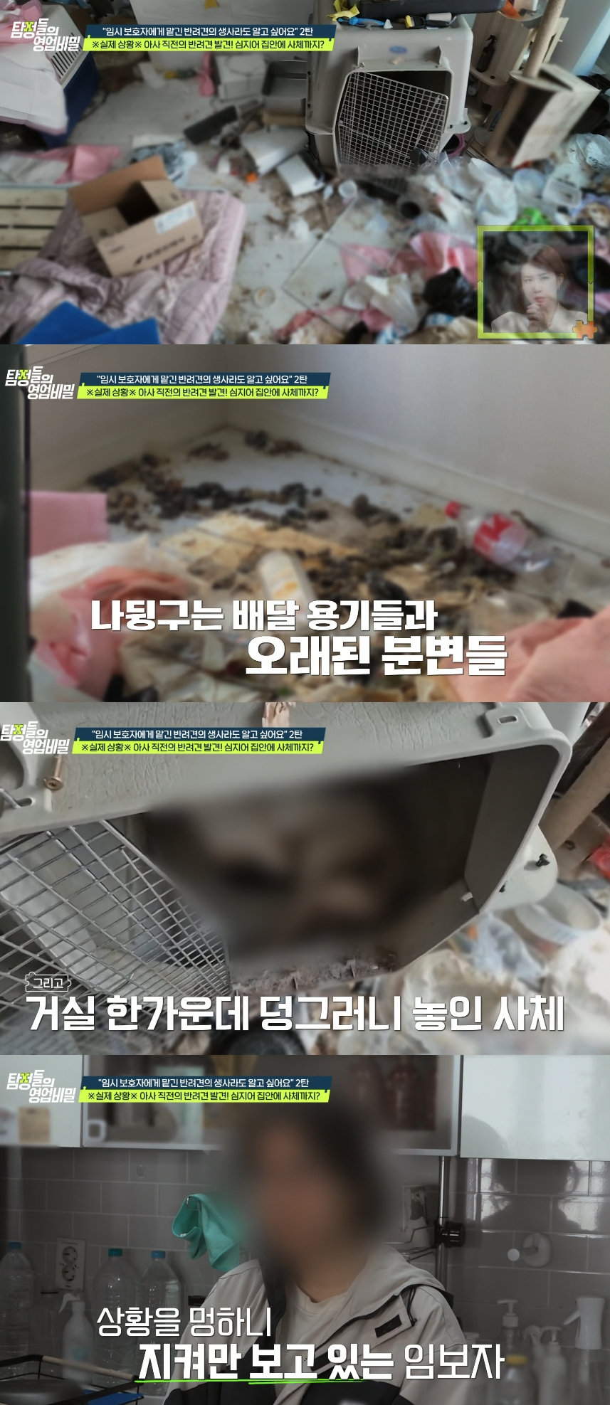 반려동물을 임시 보호 해준다더니 굶겨 죽여왔던 임시보호자(임보자)가 등장해 보는 이들을 경악하게 했다. /사진=채널A '탐정들의 영업비밀' 방송화면