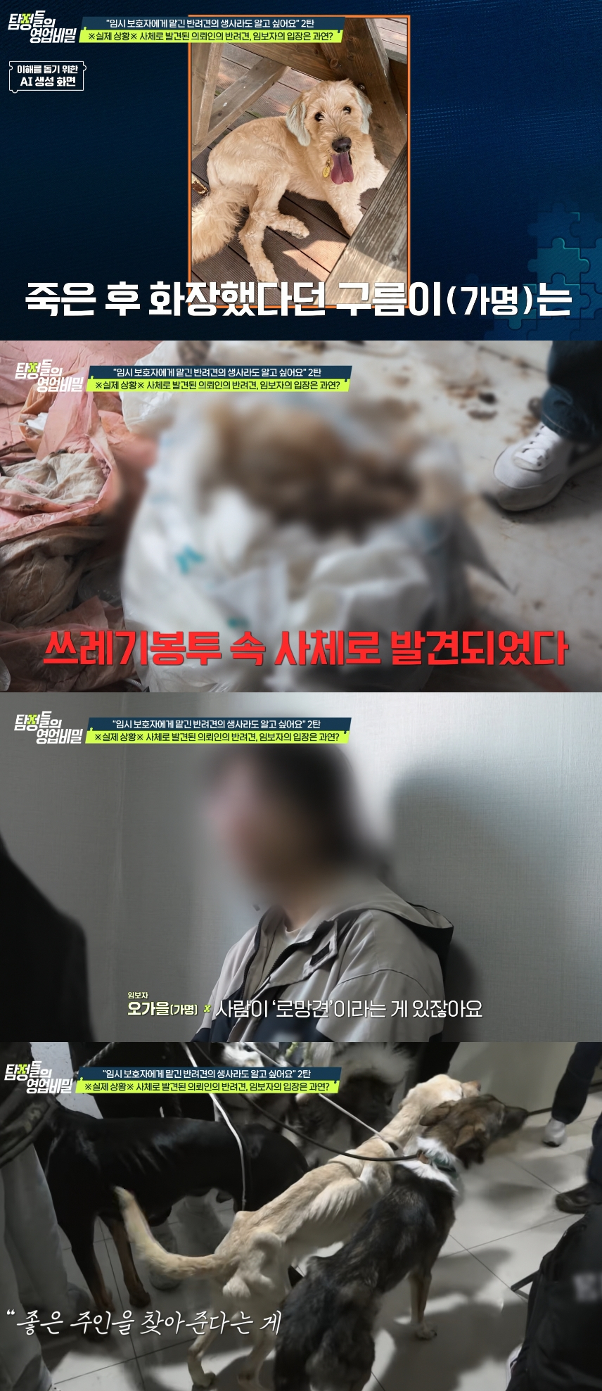 반려동물을 임시 보호 해준다더니 굶겨 죽여왔던 임시보호자(임보자)가 등장해 보는 이들을 경악하게 했다. /사진=채널A '탐정들의 영업비밀' 방송화면