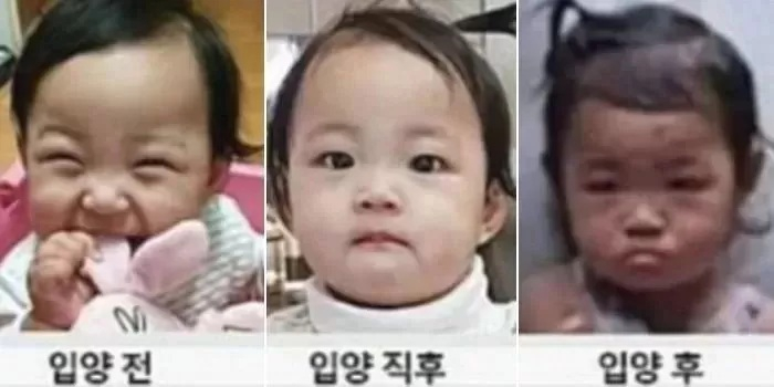 정인이는 2020년 1월 안씨 부부에게 입양됐지만, 양모 장씨의 학대와 폭력에 시달리다 같은 해 10월13일 사망했다.   장씨는 당시 집에서 정인이를 바닥에 넘어뜨린 다음 발로 복부를 밟는 등 강한 둔력을 가해 정인이를 사망에 이르게 한 것으로 조사됐다./사진=온라인 커뮤니티
