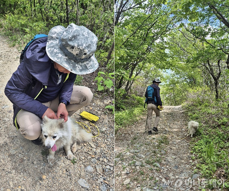 울산 울주군 천황산(해발 1198m) 정상에서 유기된 것으로 추정되는 강아지가 한 부부에게 구조됐다./사진=영남알프스완등인증 앱 