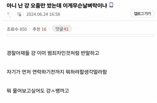 성범죄자로 몰린 B씨가 온라인 커뮤니티에 남긴 글 일부. /사진=온라인 커뮤니티 