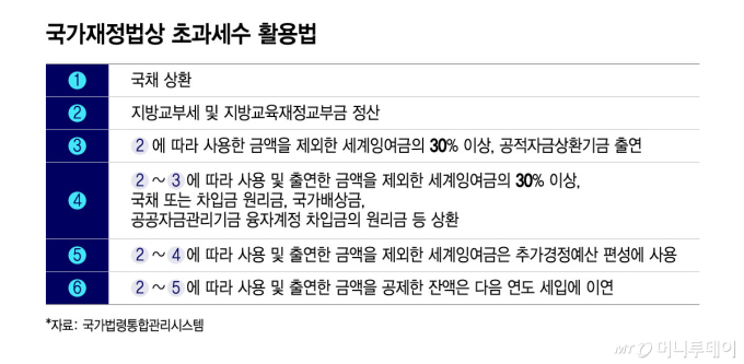 국가재정법상 초과세수 활용법/그래픽=윤선정