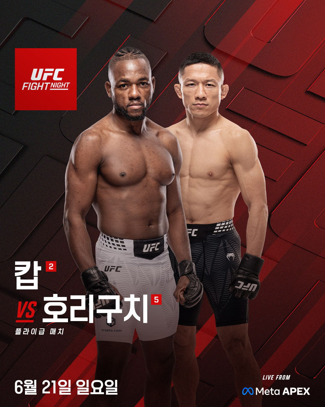 호리구치와 캅의 매치 포스터. /사진=UFC 제공